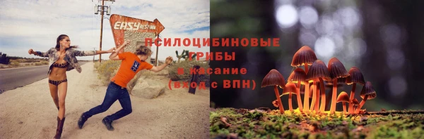 шишки Пролетарск