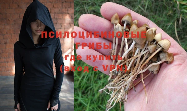героин Алексин