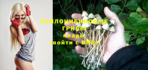 шишки Пролетарск