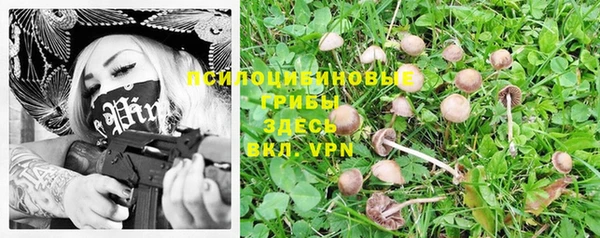 дмт Алексеевка