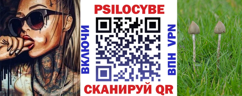 omg Амурск Галлюциногенные грибы GOLDEN TEACHER магазин продажи наркотиков